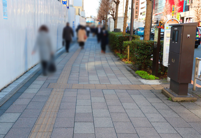 写真：細い歩道がまっすぐ続く様子